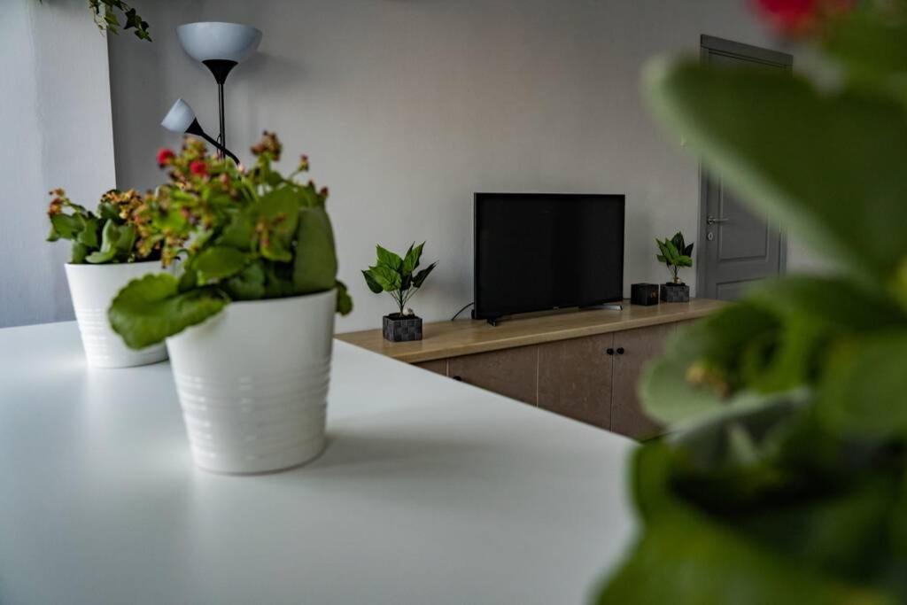 Modern 1 Bedroom Apartment In Bucharest Center! エクステリア 写真
